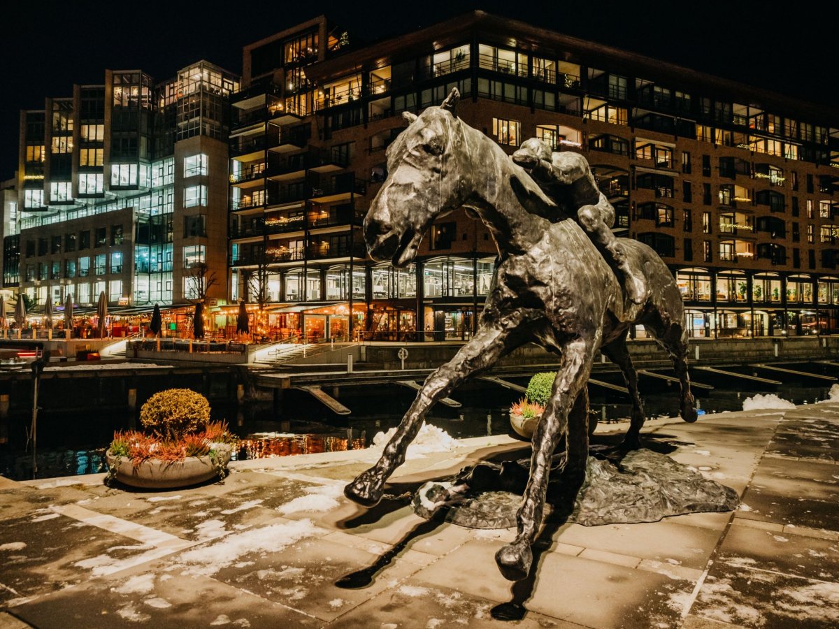 socha koně