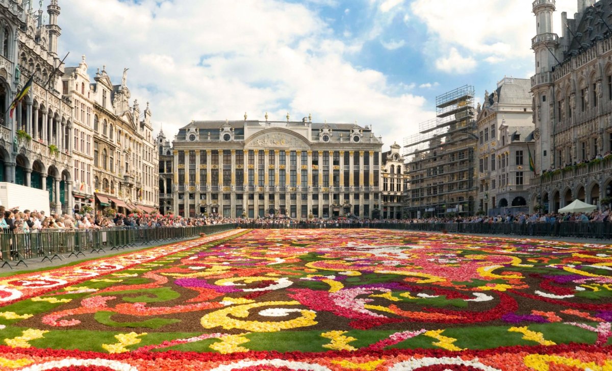 Květinový koberec v Bruselu