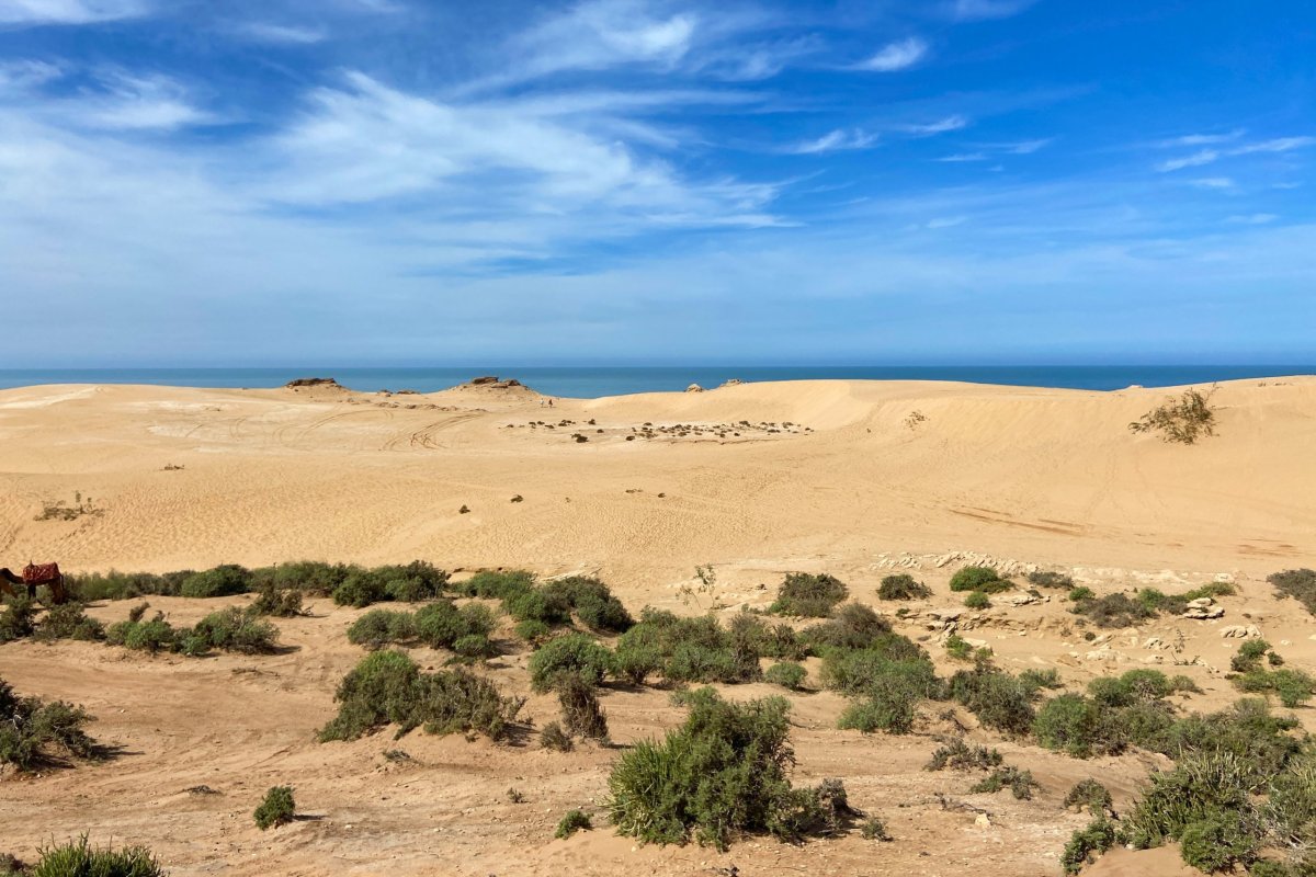 Pohled na duny po cestě
