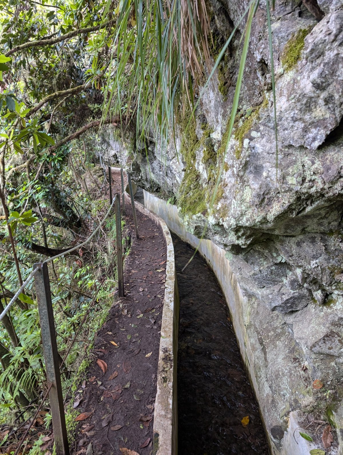 PR10 Levada do Fuardo