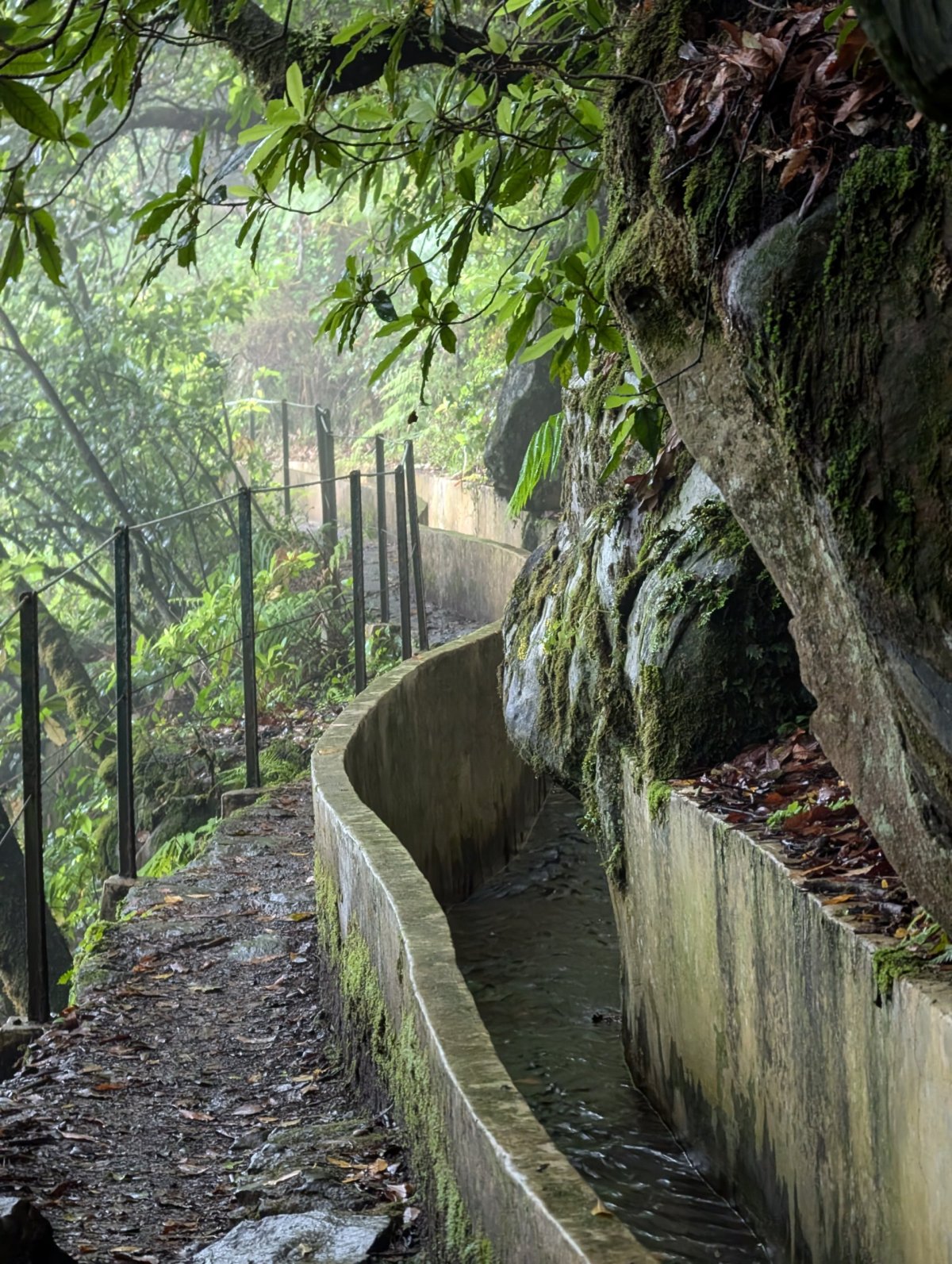 PR10 Levada do Fuardo