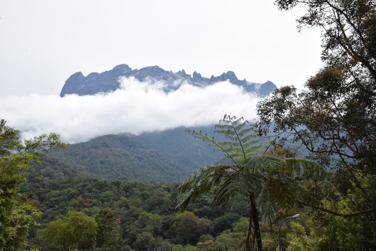 Hora Kinabalu, Sabah, Borneo