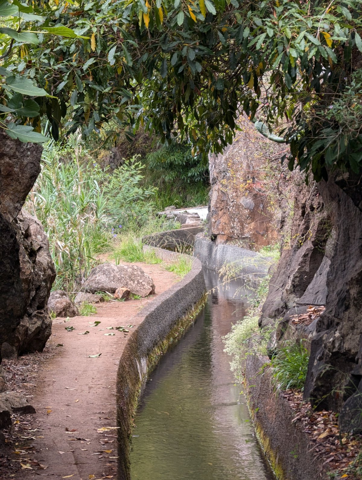 Levada do Norte