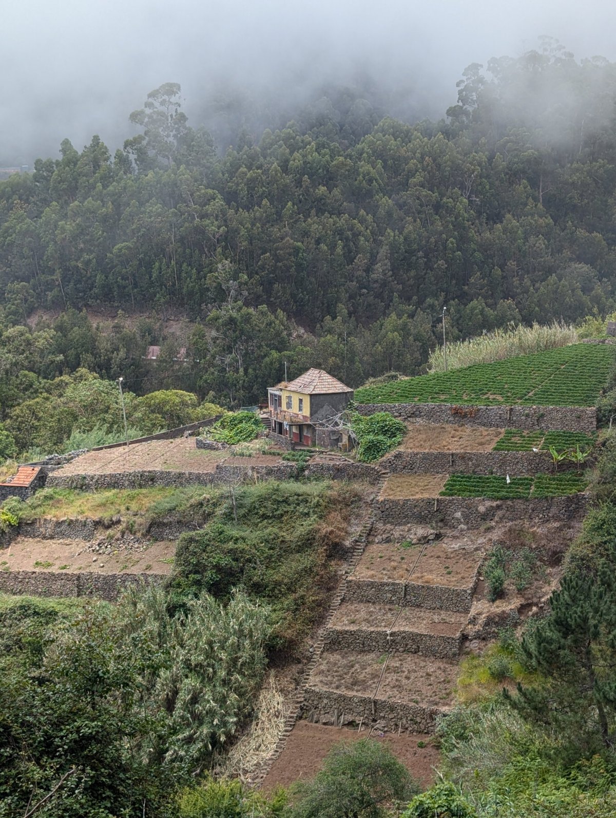 Levada do Norte