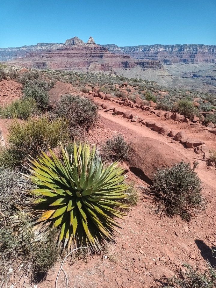 Cestou po South Kaibab Trailhead