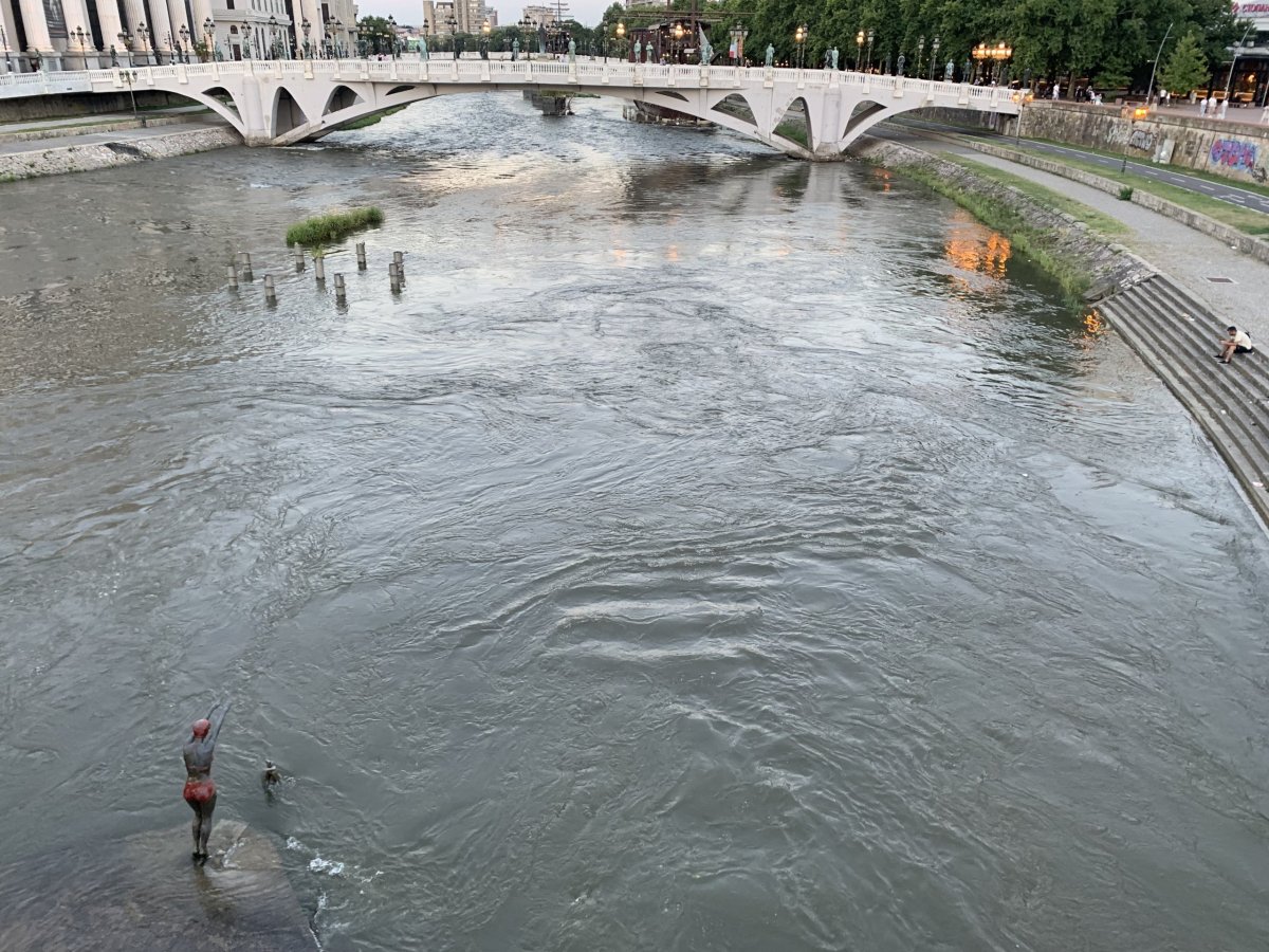 Skopje - socha plavkyně