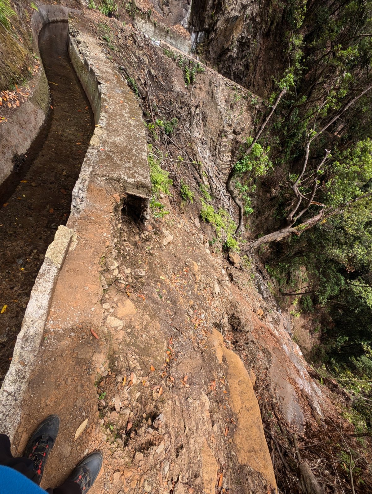 Levada da Ribeira da Janela