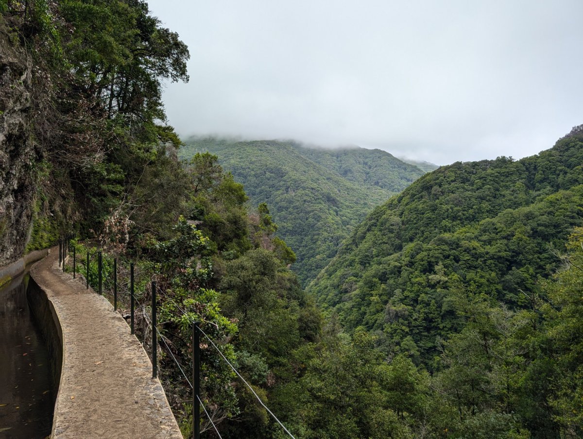 Levada da Ribeira da Janela