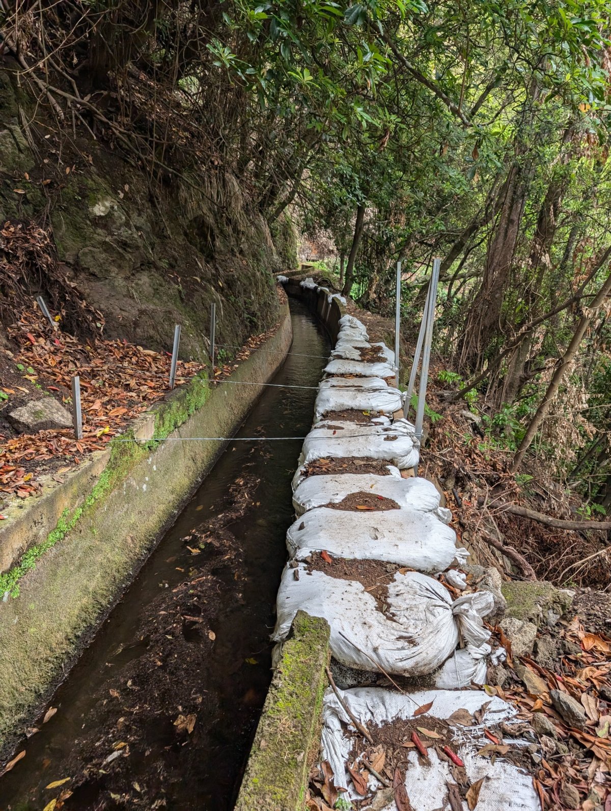 Levada da Ribeira da Janela