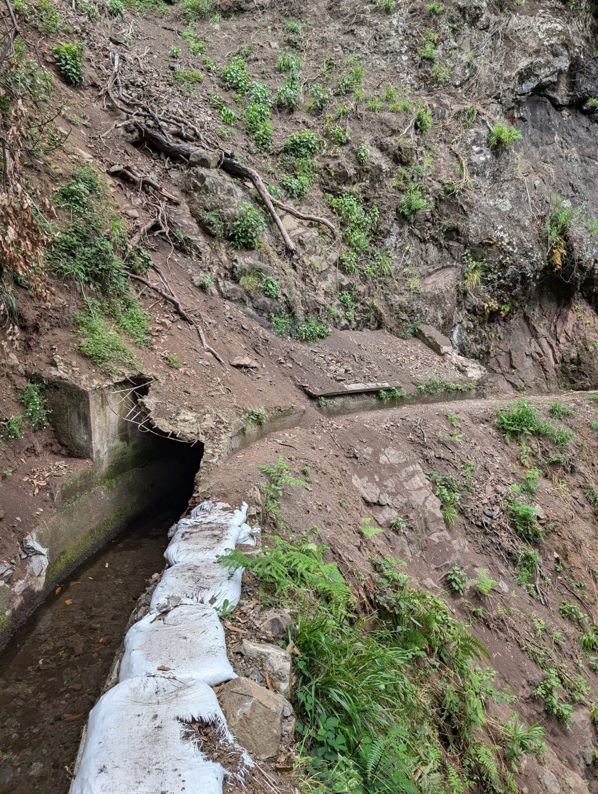 Levada da Ribeira da Janela