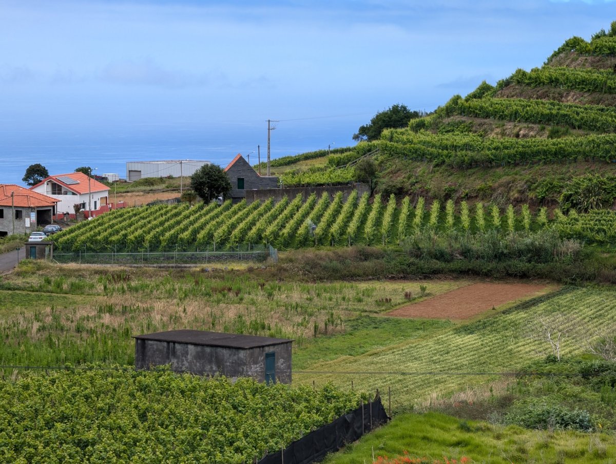 horní část Porto Moniz