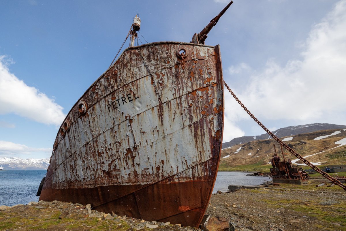 Grytviken