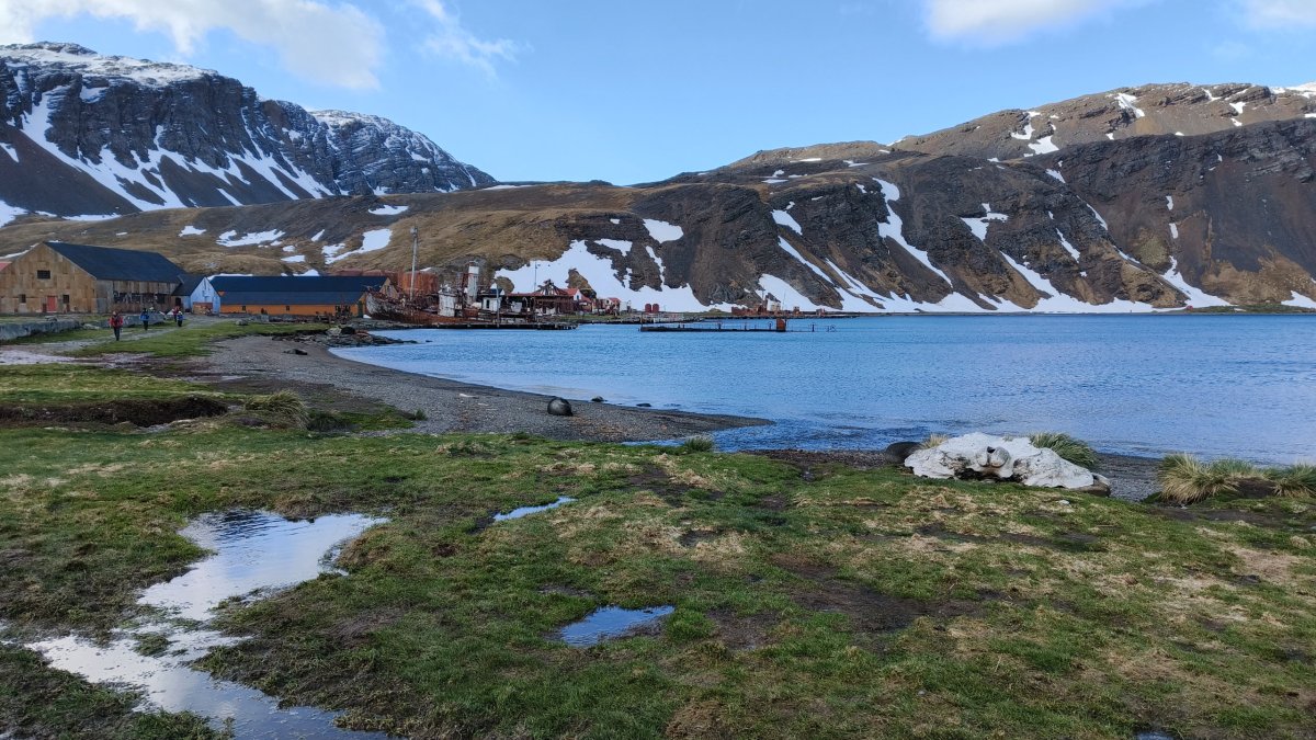 Grytviken