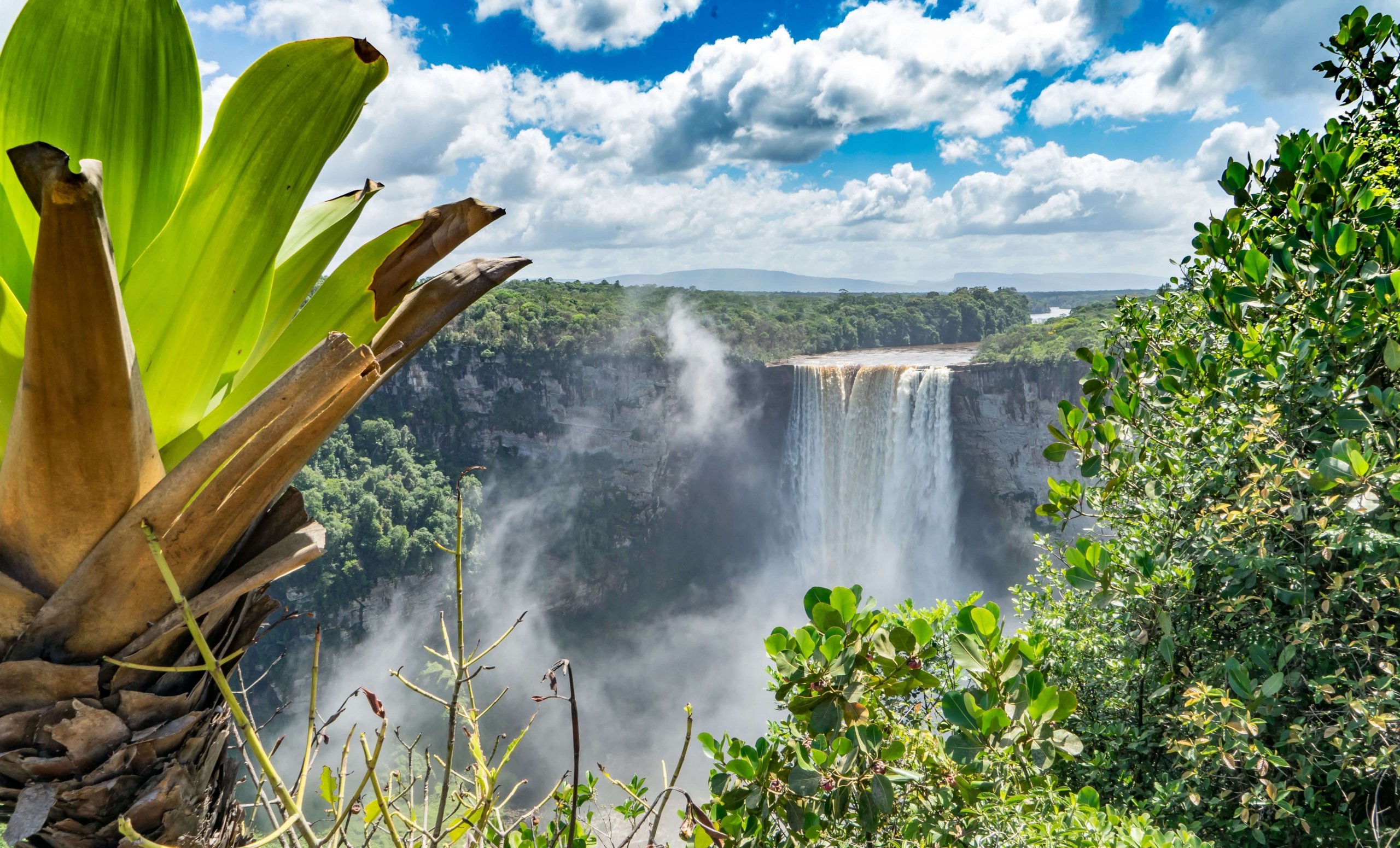 guyana-v-e-co-pot-ebujete-v-d-t-p-ed-cestou