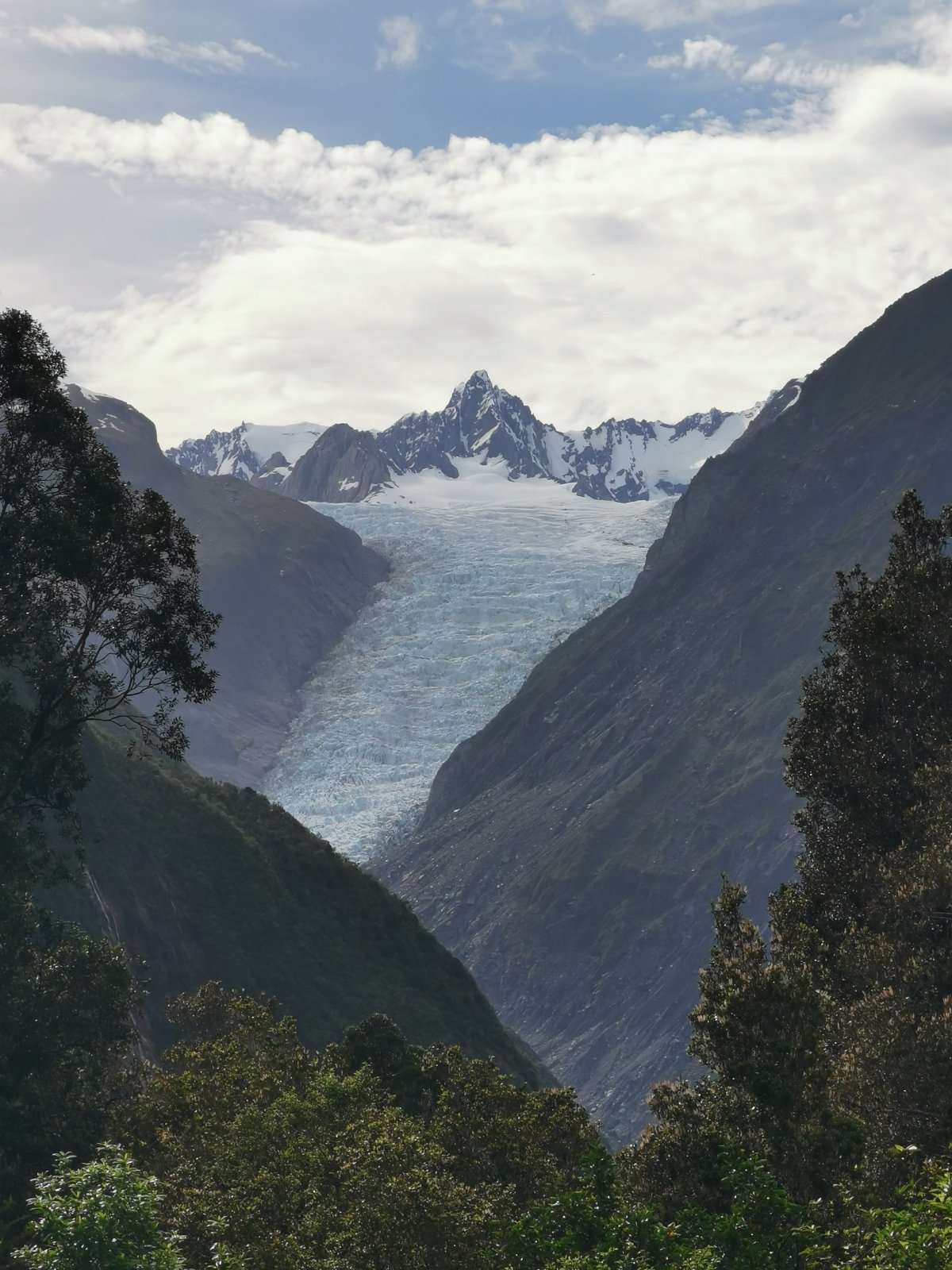 Fox Glacier