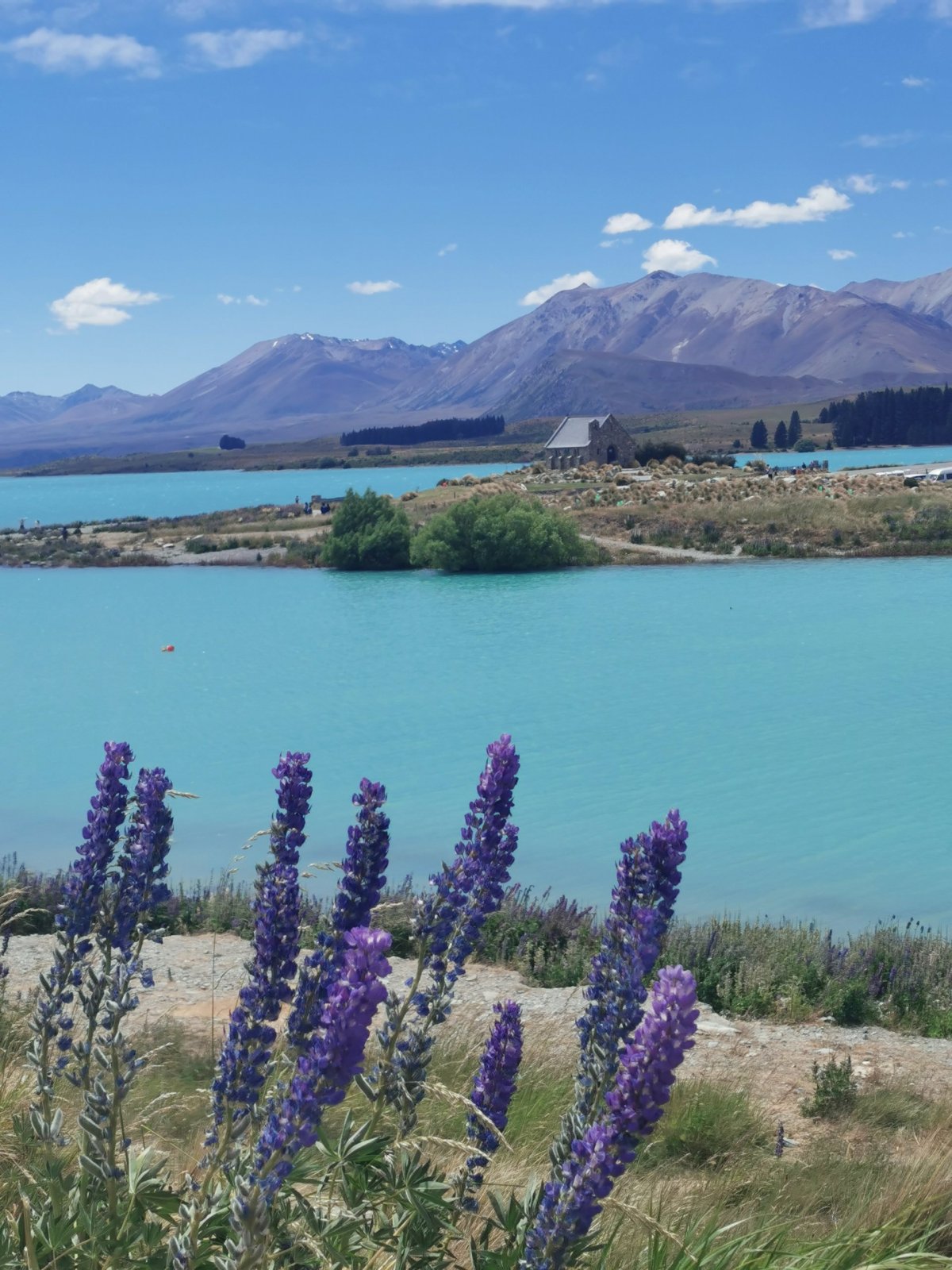 Lake Tekapo