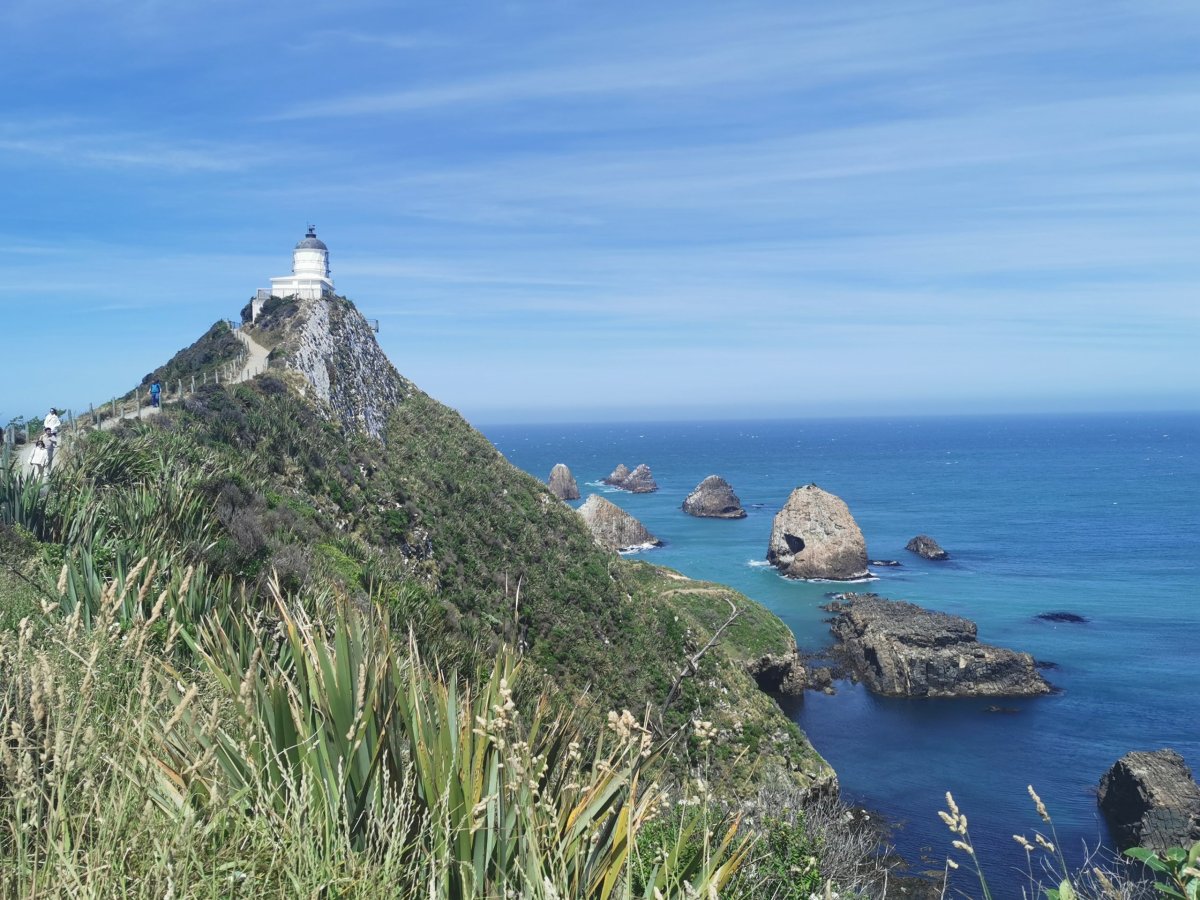 Nugget Point