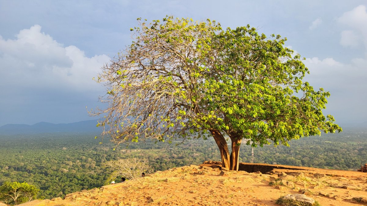 Sigiriya