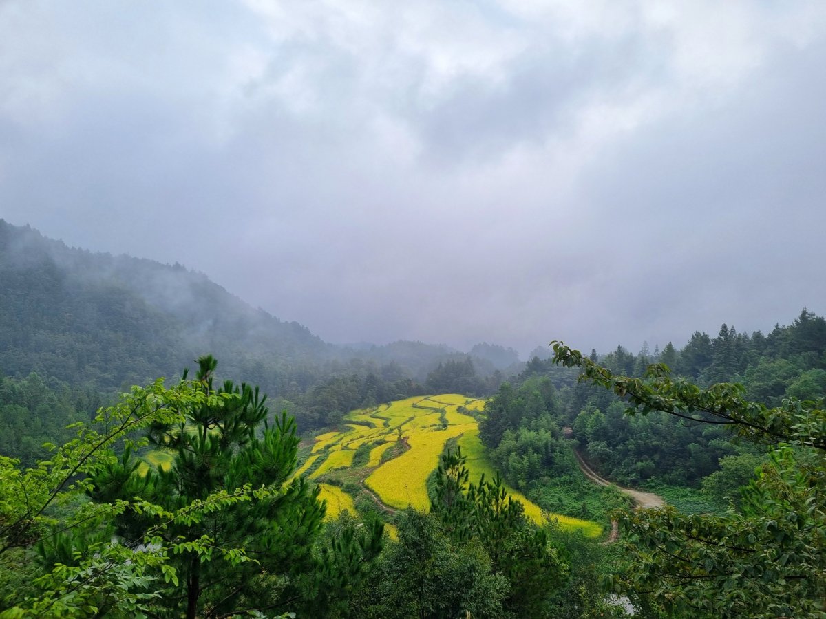 Zhangjiajie