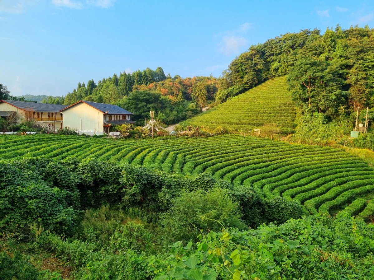 Zhangjiajie