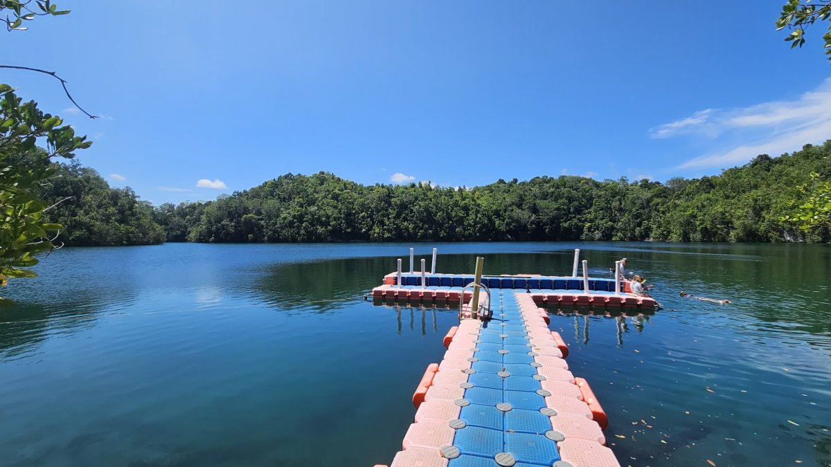 Jellyfish lake 