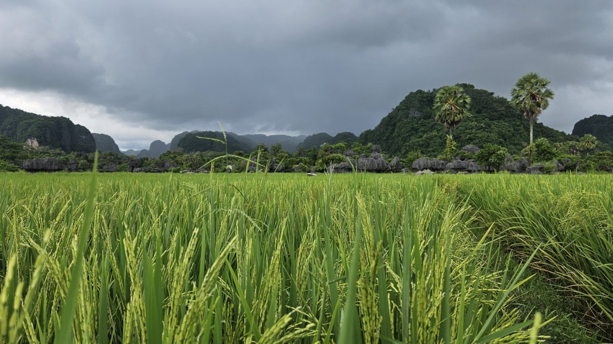 Rammang Rammang