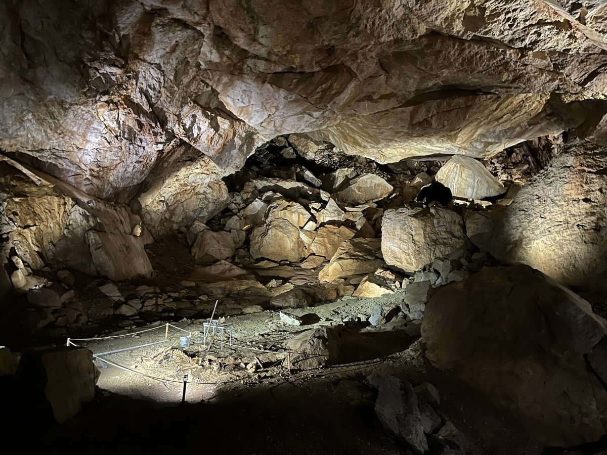 Dachstein Giant Ice Cave - kostra jeskynního medvěda