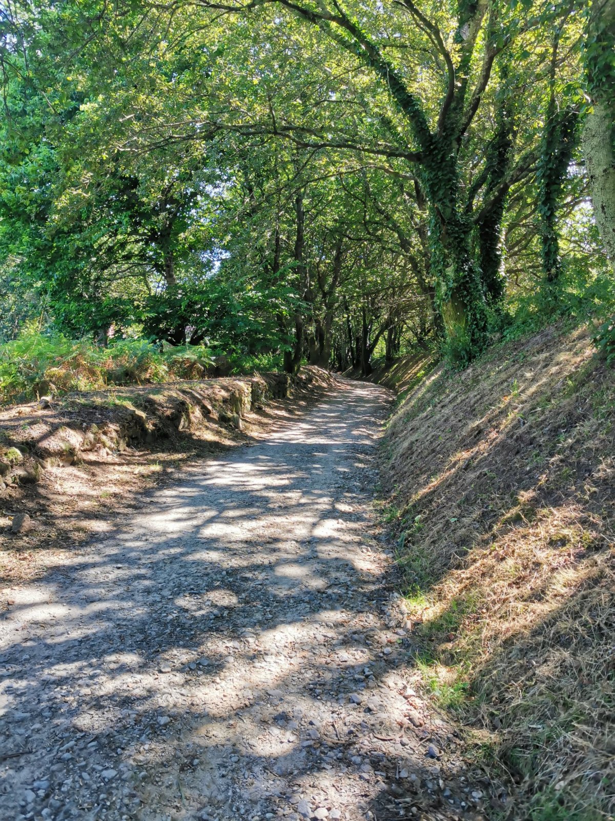 Poslední úsek v lese