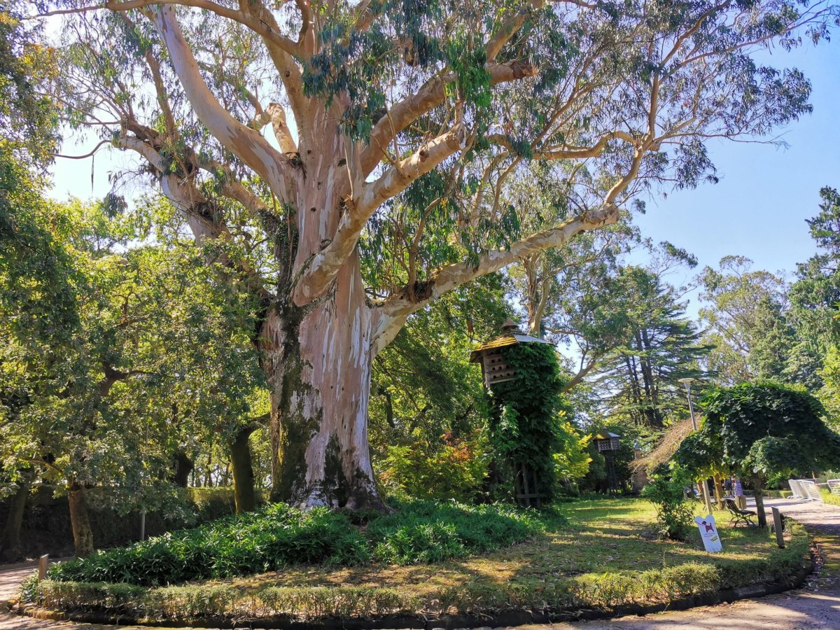 Park Alameda