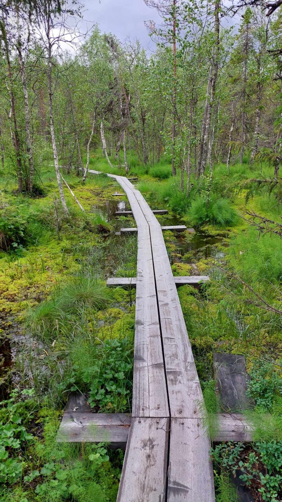 Arctic Circle Hiking Area