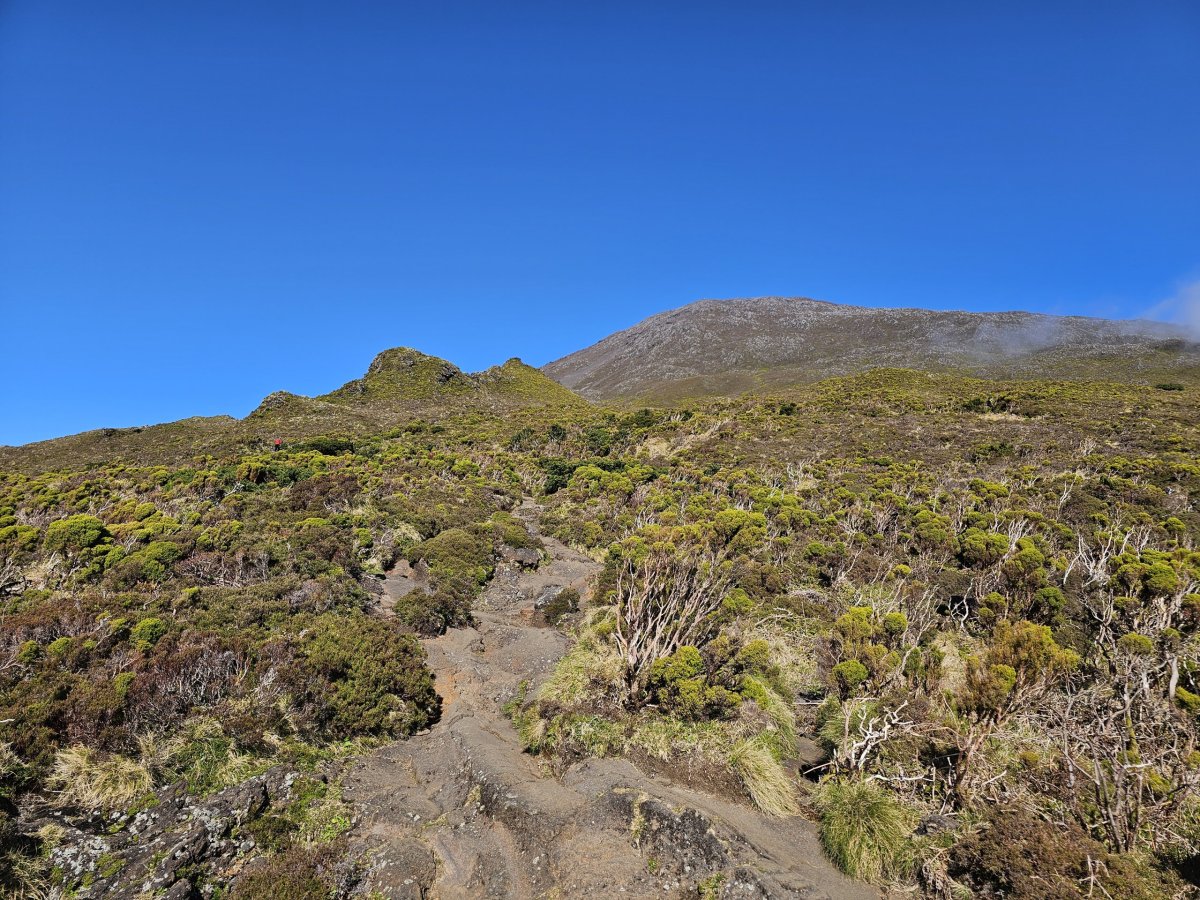 Cesta nahoru, Pico