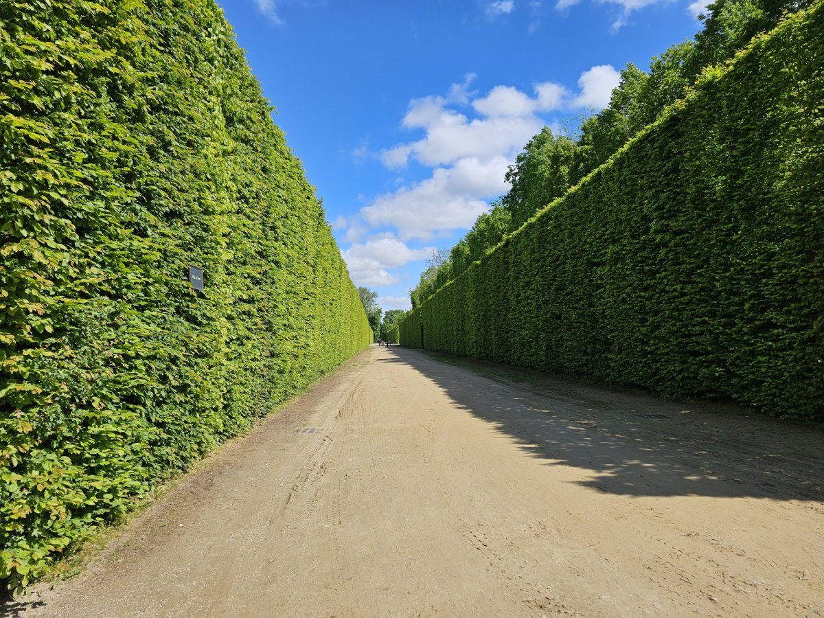 Zahrady Versailles