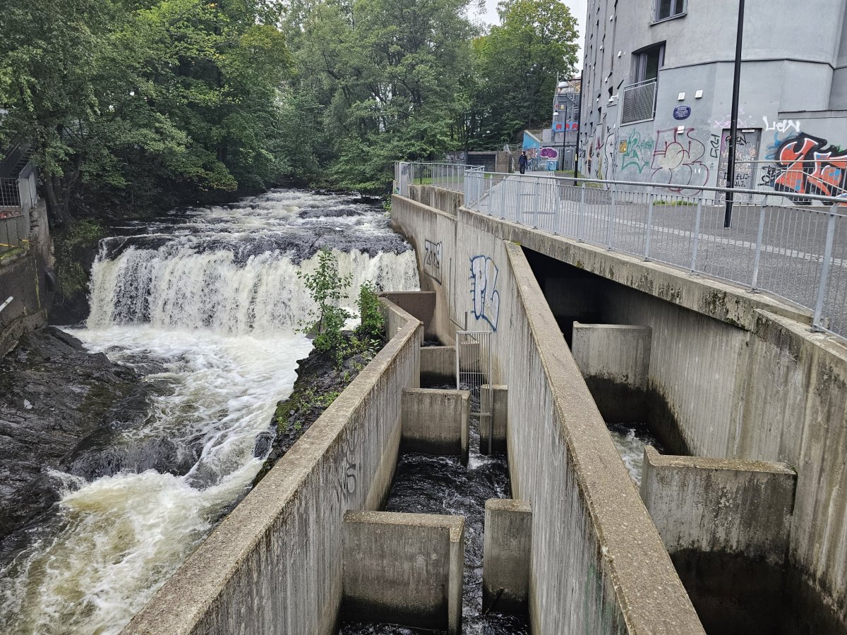 Rybí přechod, Akerselva