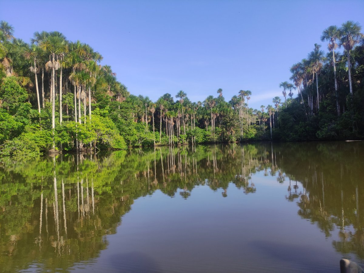 Lago Sandoval