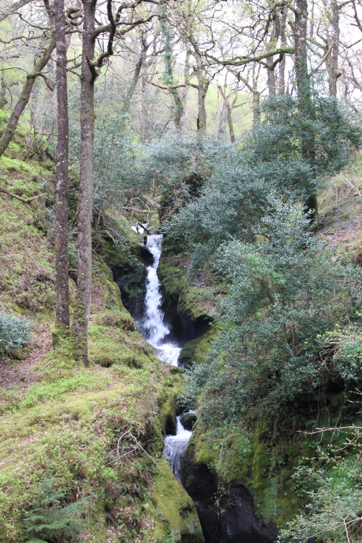 Wicklow Mountains