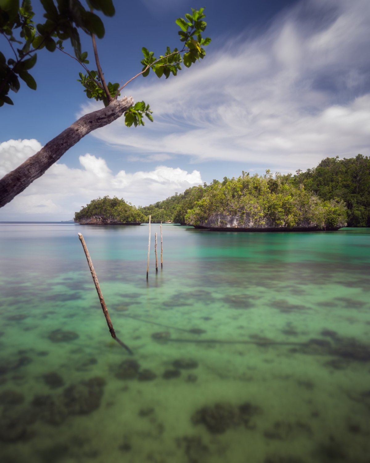 Nedalo Besser Bay