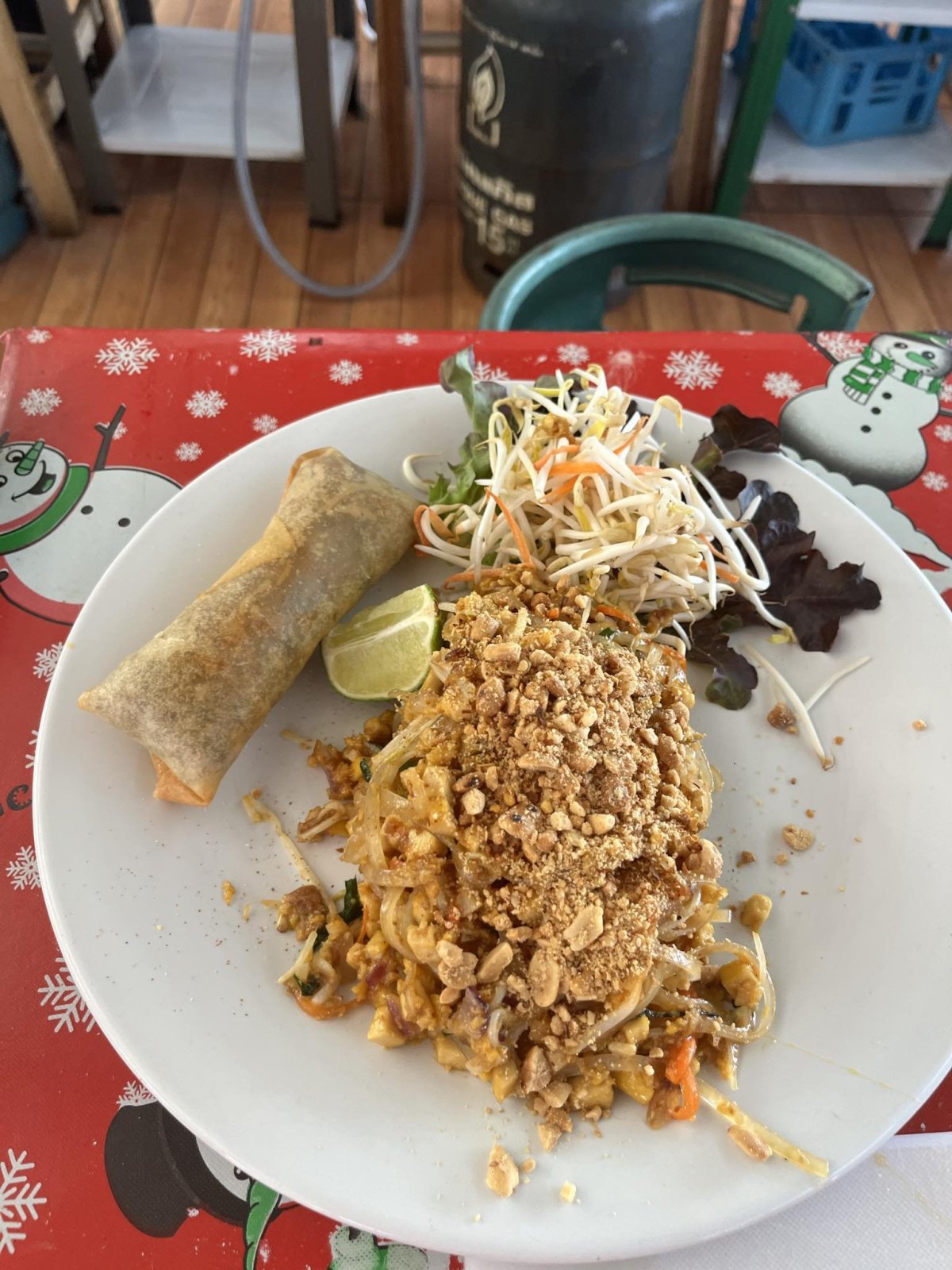 Pad thai + zívitek