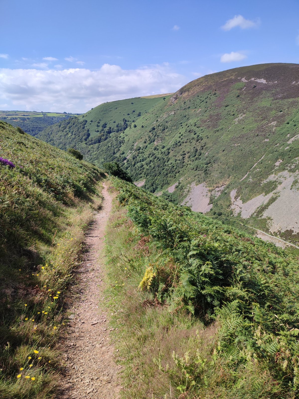 Pohled do Heddon valley