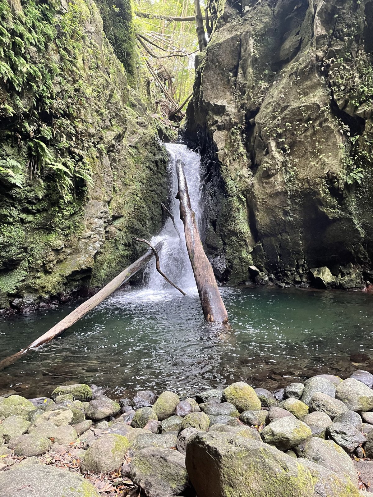 Salto do Cagarrao