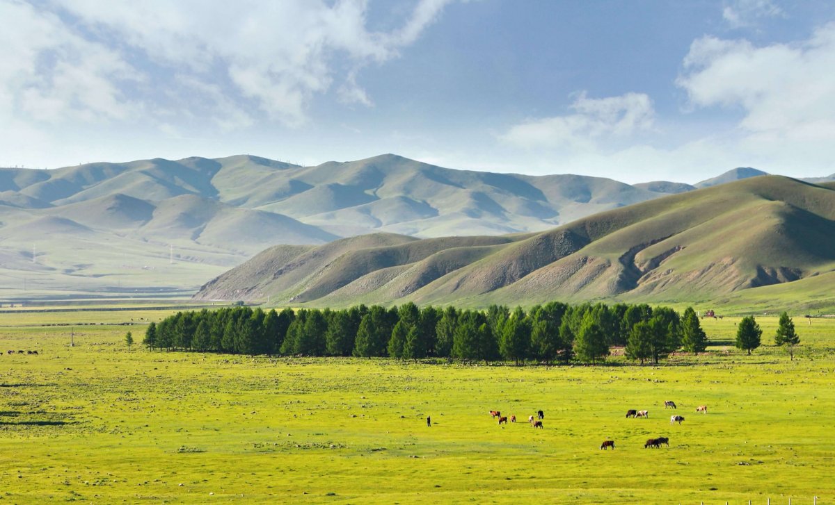 Mongolský venkov