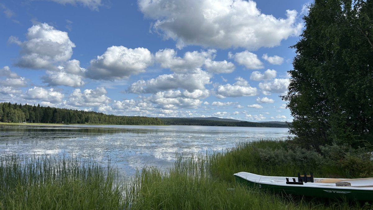 Orajärvi