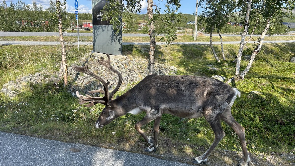 Kilpisjärvi