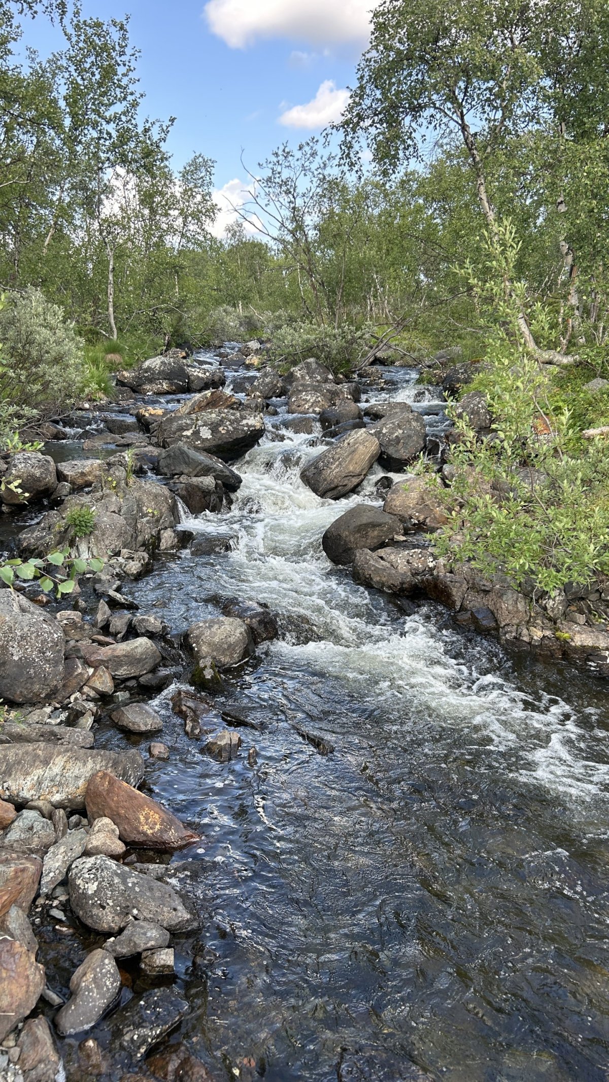 Kilpisjärvi