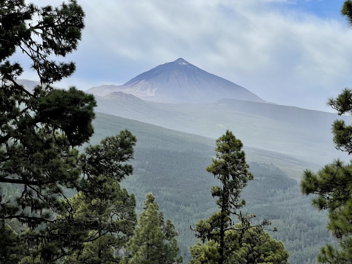 Trasa La Caldera - Portillo el Topo - La Caldera