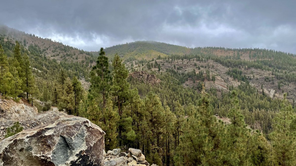 Kolem Montaña El Cedro