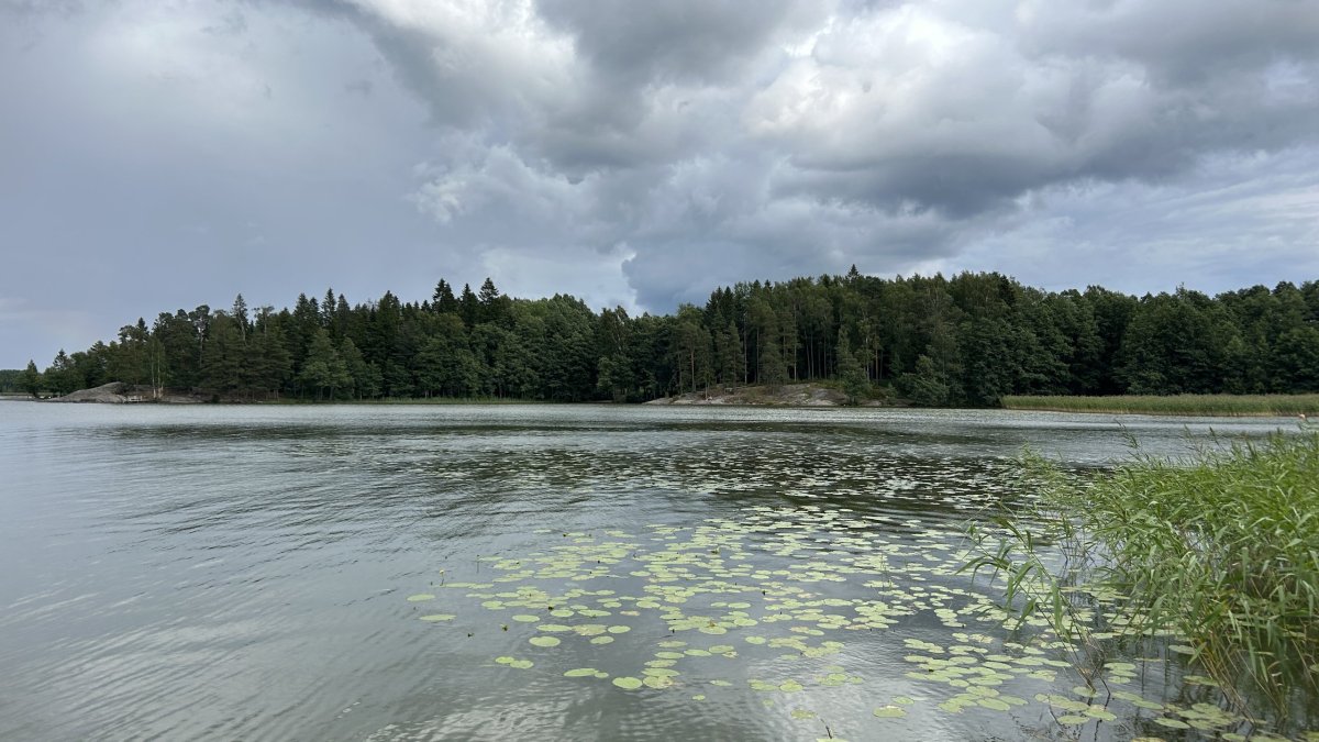 Bodomské jezero