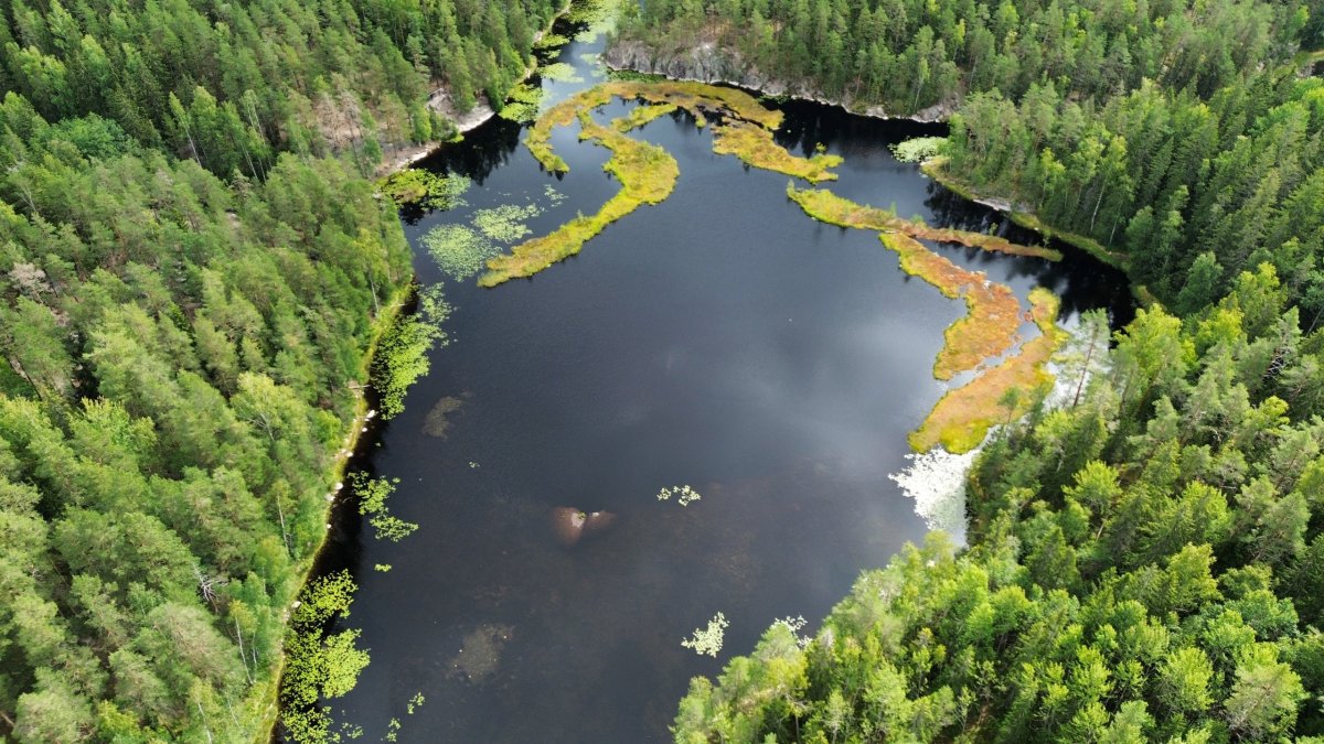 Národní park Nuuksio