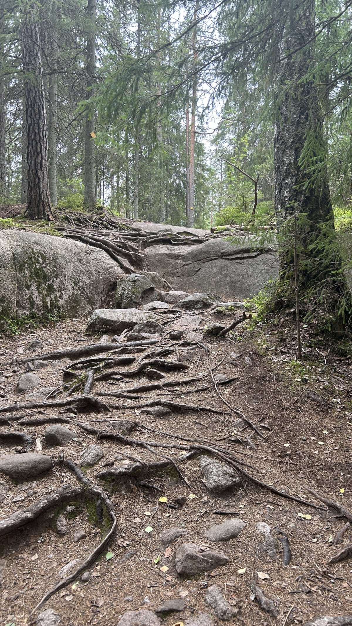 Národní park Nuuksio