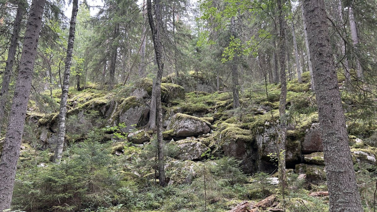 Národní park Nuuksio