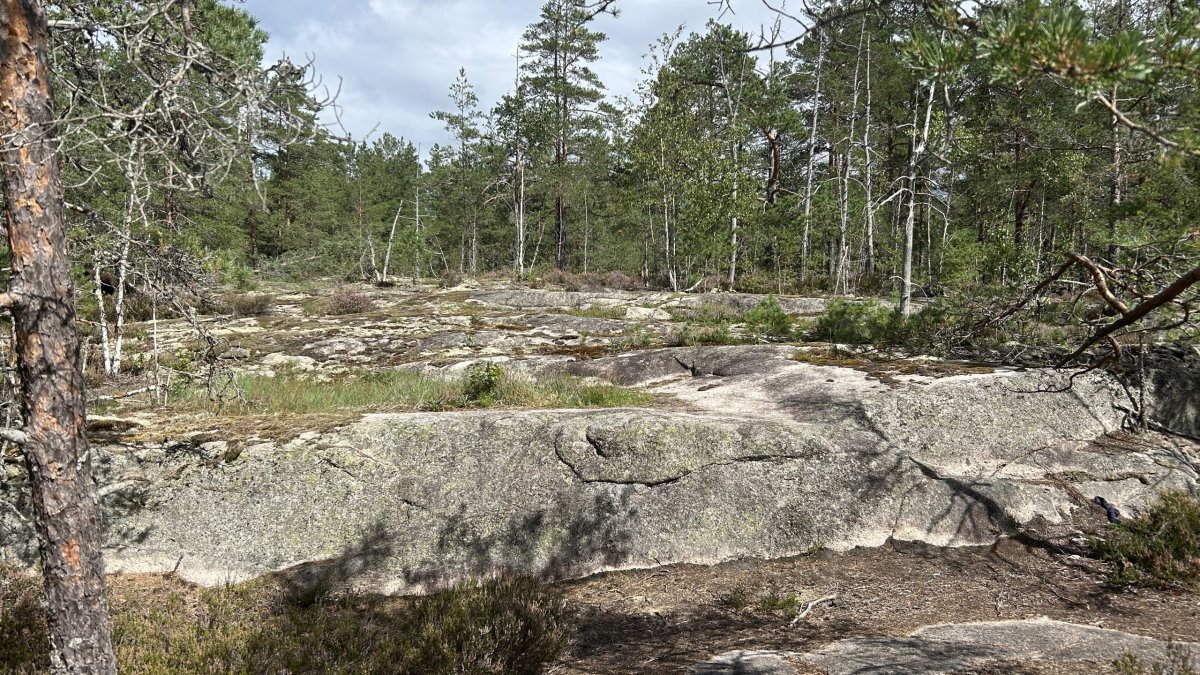 Národní park Nuuksio